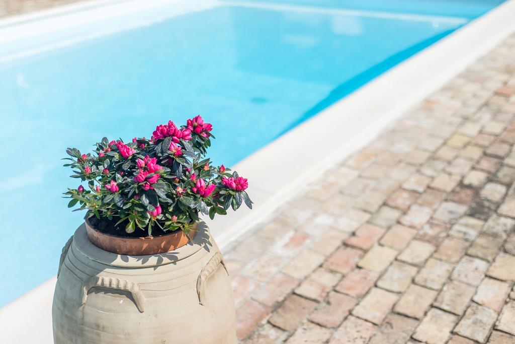 B&B Villa Casone Fossacesia Εξωτερικό φωτογραφία